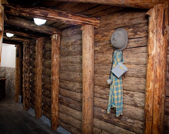 Brusteam_Ledine_Luxury_House_104 Brusteam_Ledine_Luxury_House_104