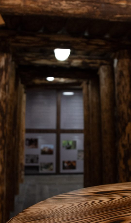 Brusteam_Ledine_Luxury_House_115 Brusteam_Ledine_Luxury_House_115